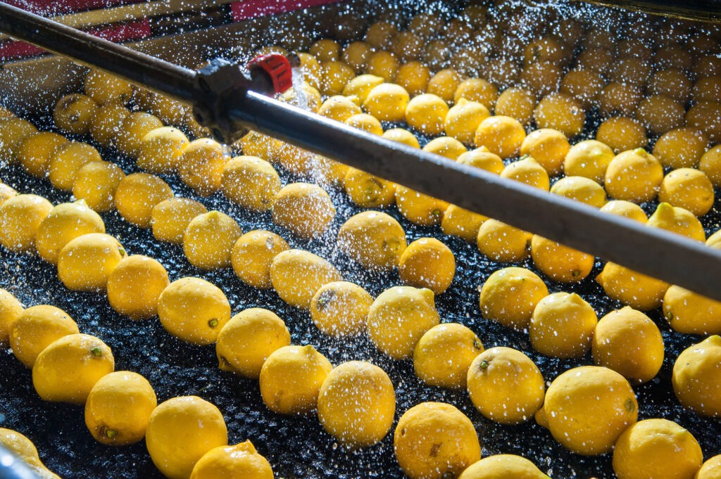 Epoxy flooring for food and beverage processing