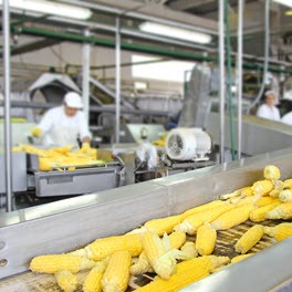 food and beverage epoxy flooring