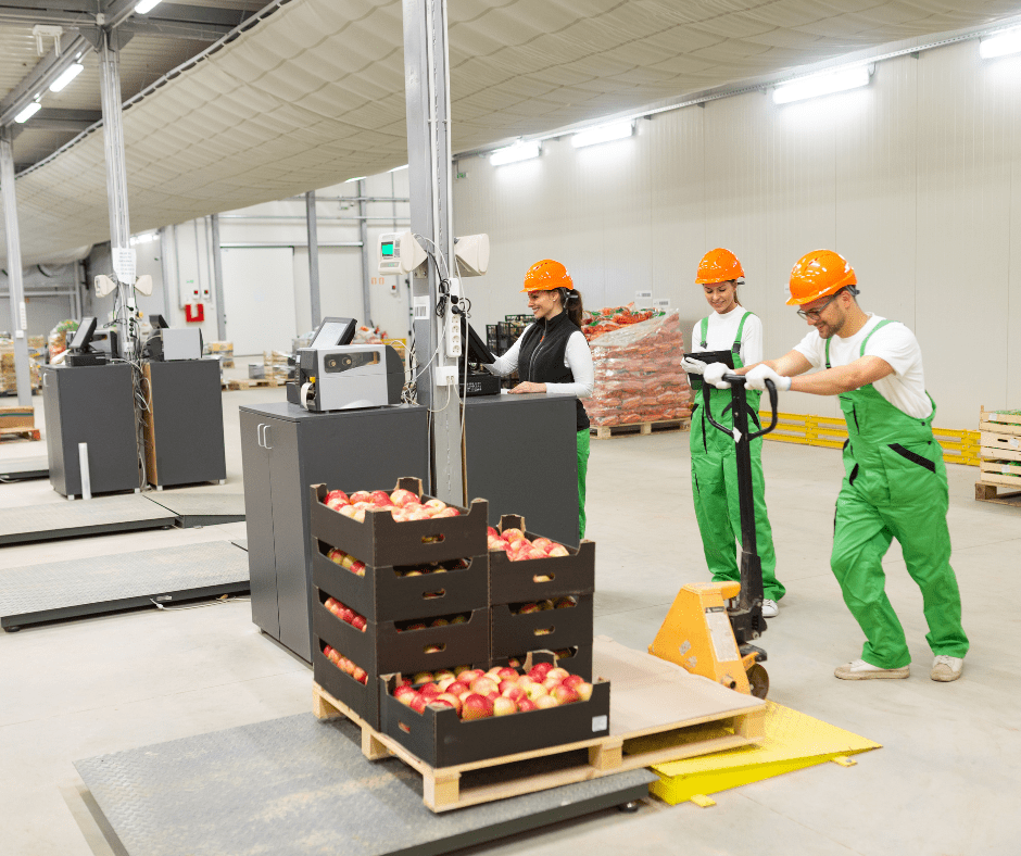 Elevate Hygiene: FDA Approved Food and Beverage Flooring Unveiled